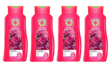 Herbal Essences Body Envy Volumizing Conditioner,5.99, Groupon,