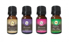 Set of 4 “Skin Care” Pure Therapeutic Essential Oils, by Agnes Care,12.68, Groupon,