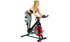 Advanced Sunny Health and Fitness Indoor Cycling Bike, 189.99, Groupon,